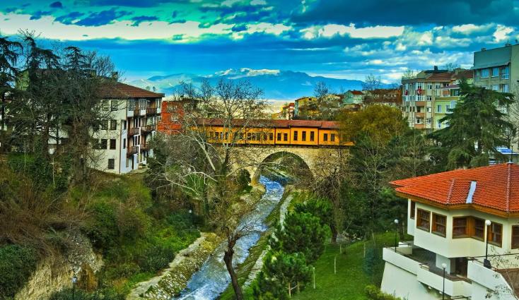 bursa