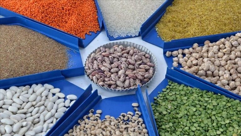 Hububat ve Bakliyat sektöründen 11,9 milyar dolar ihracat