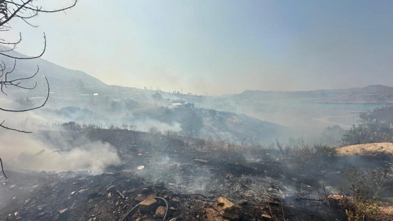 Antalya’da orman yangını: Havadan ve karadan müdahale ediliyor