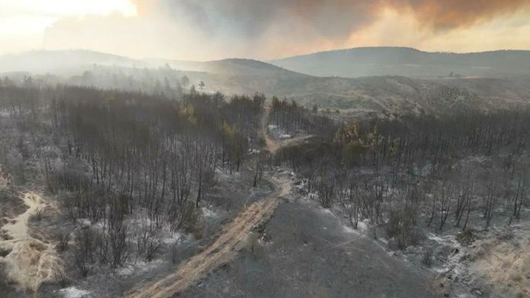 Alevlere karşı mücadele Çanakkale'ye devam ediyor! Tarihi alanlar için alarm verildi, ateşin görüntüleri kalpten elde edildi 3