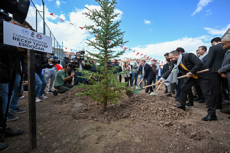 Filistinli gazeteciler için fidanlar toprakla buluştu