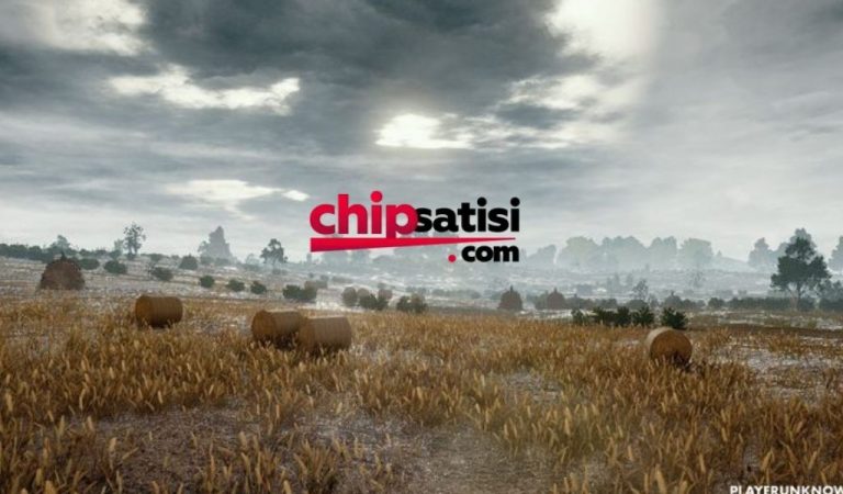 Güvenilir Chip Satın Almanın Yeni Adresi – Kurumsal Kalite